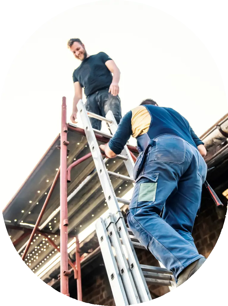 Refection toiture DSD